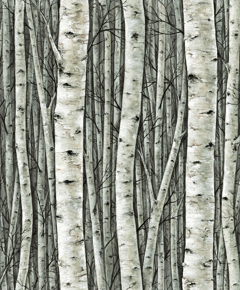 Marburg tapeta na zeď 35380 Timber 0,53 x 10,05 m