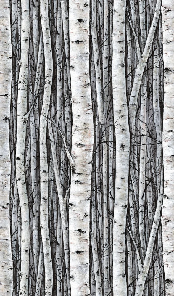 Marburg fototapeta na zeď 35395 Timber 159 x 270 cm