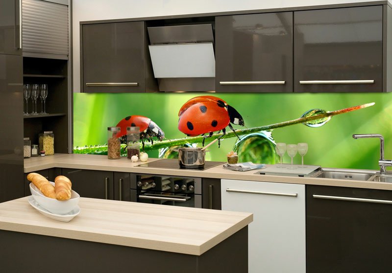 Fototapeta na linku Beruška 260 x 60 cm KI260-015