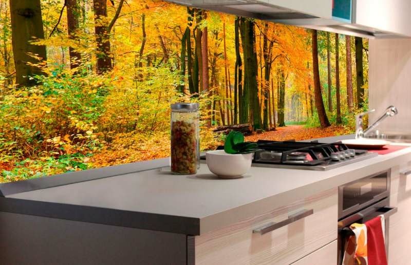 Fototapeta na linku Podzim 180 x 60 cm | KI180-045