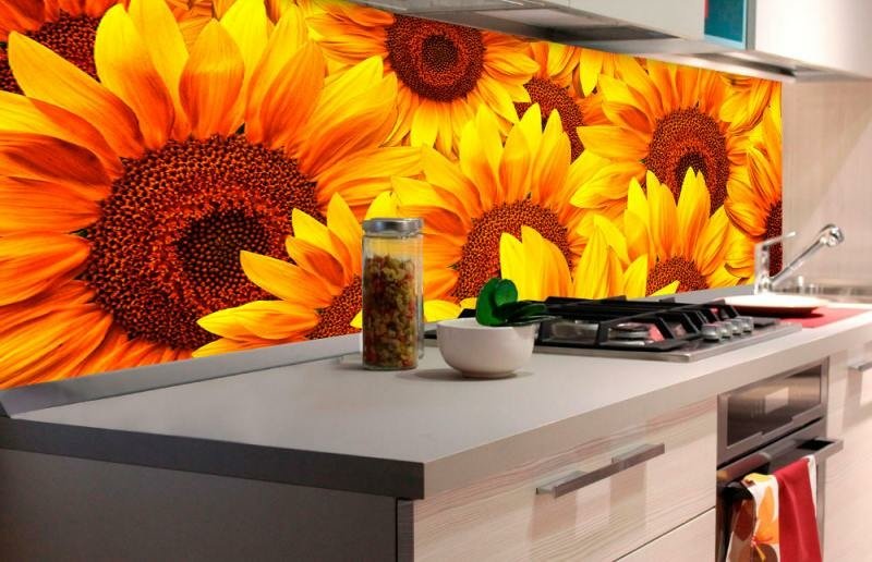 Fototapeta na linku Helianthus 180 x 60 cm | KI180-051