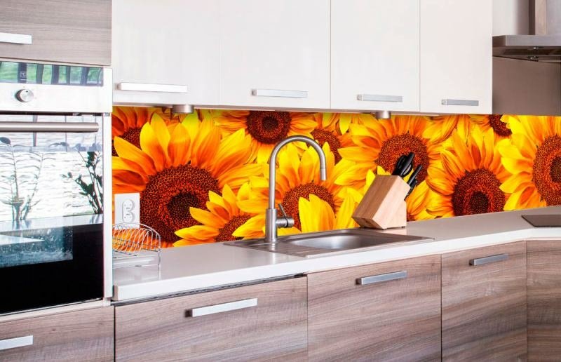 Fototapeta na linku Helianthus 260 x 60 cm | KI260-051