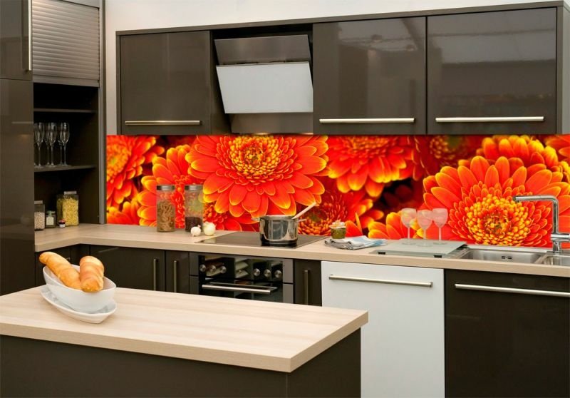 Fototapeta na linku Gerbera 260 x 60 cm | KI260-059