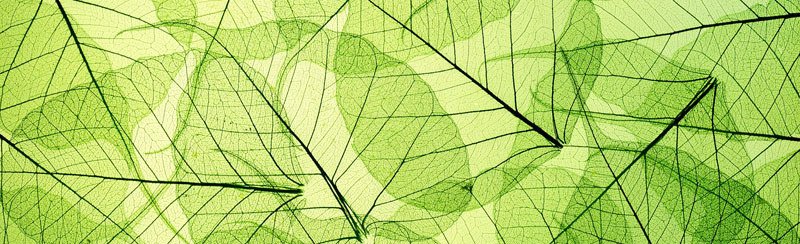 Běhoun na stůl Leaf TS-006 - 40 x 140 cm