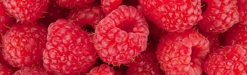 Běhoun na stůl Raspberry TS-009 - 40 x 140 cm