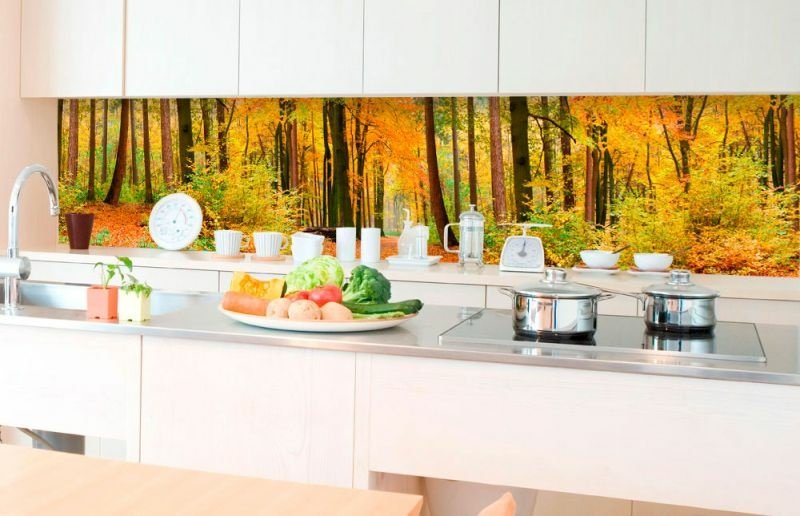 Fototapeta za linku KI350-045 Podzim 350 x 60 cm