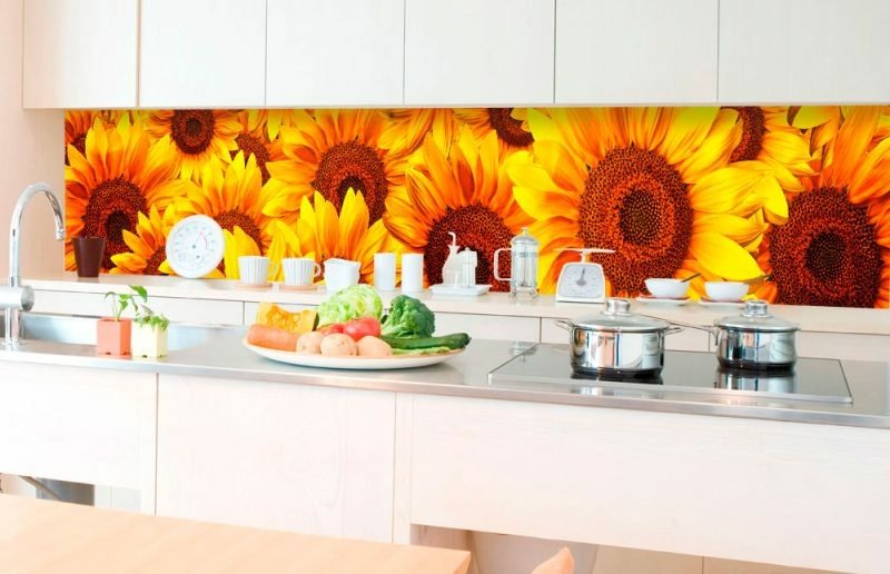 Fototapeta za linku KI350-051 Helianthus 350 x 60 cm