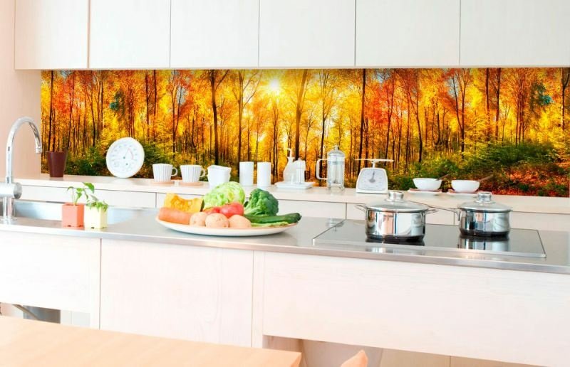 Fototapeta za linku KI350-084 Sunny Forest 350 x 60 cm