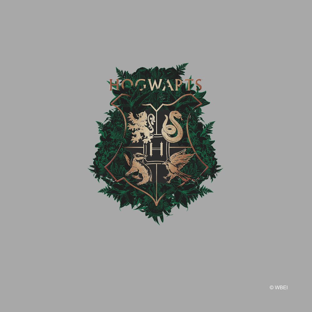 Dekorační polštář Harry Potter CND3157 | 40 x 40 cm