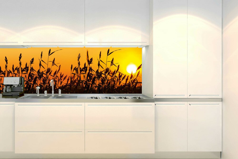 Fototapeta do kuchyně KI180-128 Reeds 180 x 60 cm