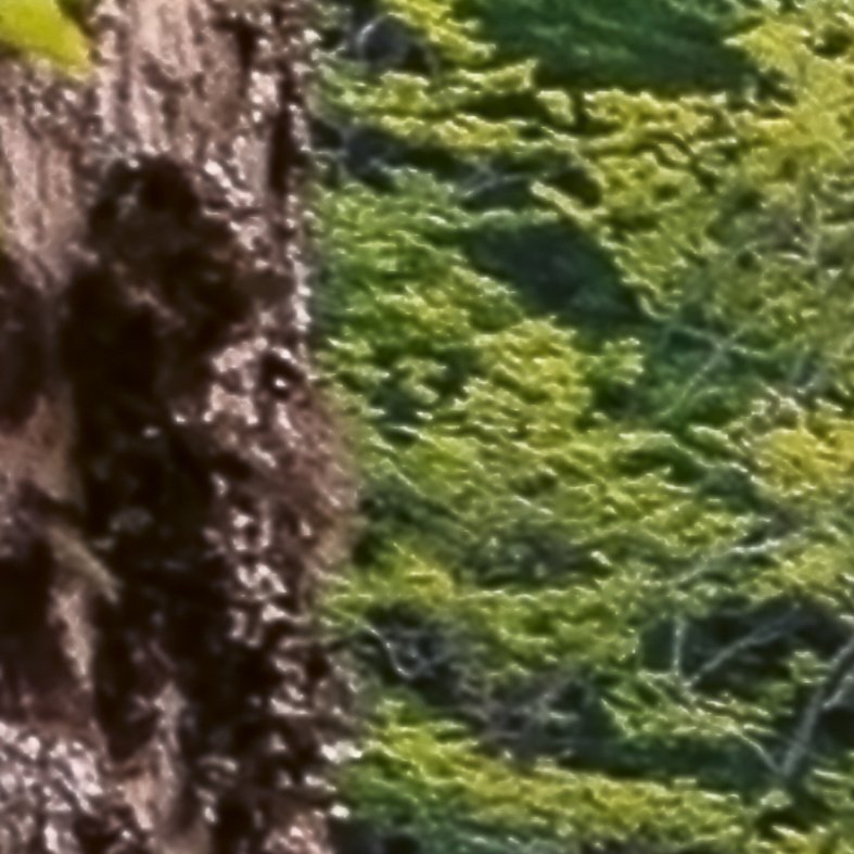 Fototapeta na míru Krajina 480 x 292 cm