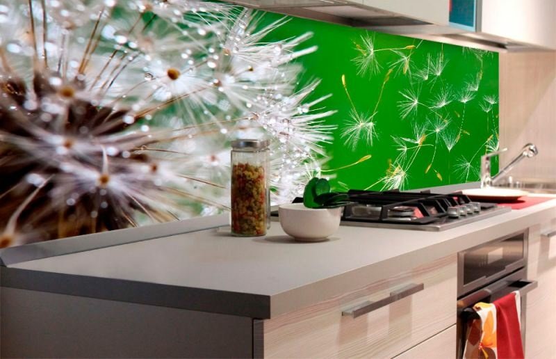 Fototapeta na linku Dandelion 180 x 60 cm KI180-012