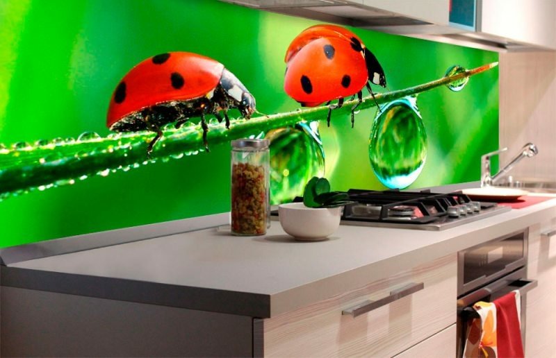 Fototapeta na linku Beruška 180 x 60 cm KI180-015