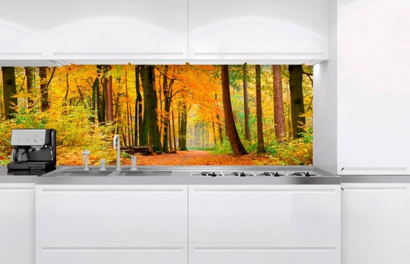 Fototapeta na linku Podzim 180 x 60 cm | KI180-045