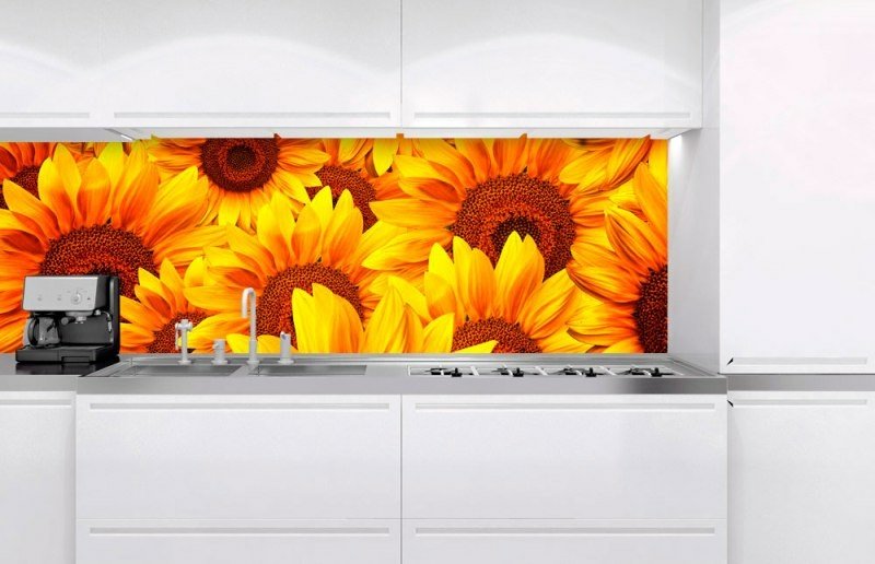 Fototapeta na linku Helianthus 180 x 60 cm | KI180-051
