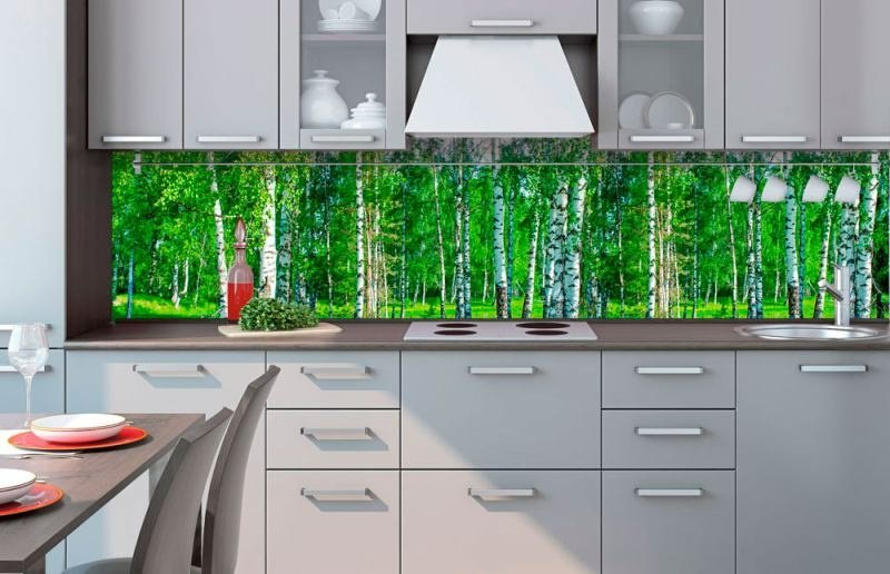 Fototapeta na linku Břízy 260 x 60 cm | KI260-044