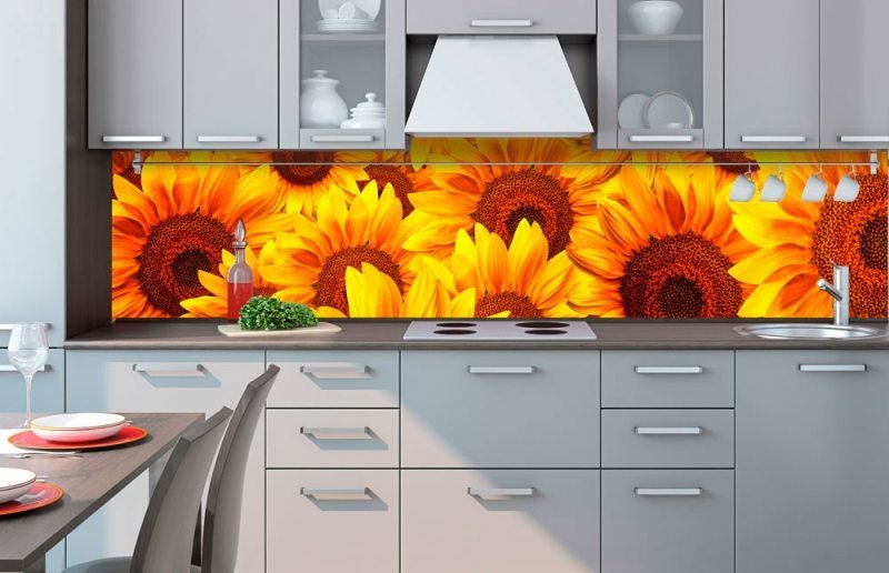Fototapeta na linku Helianthus 260 x 60 cm | KI260-051