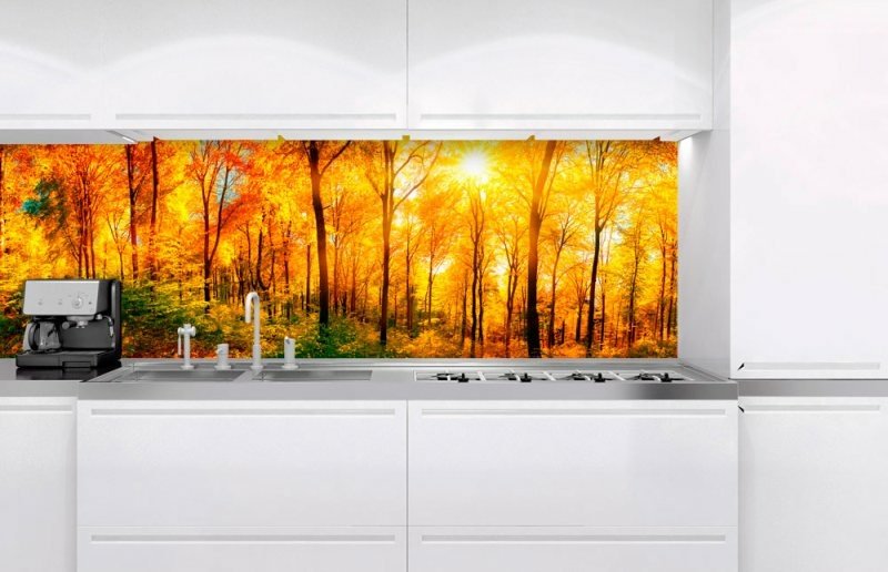 Fototapeta do kuchyně KI180-084 Sunny Forest 180 x 60 cm