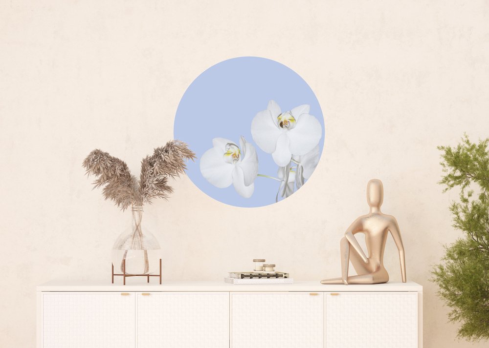 Samolepicí fototapeta CR3200 Orchid on Blue 70 x 70 cm