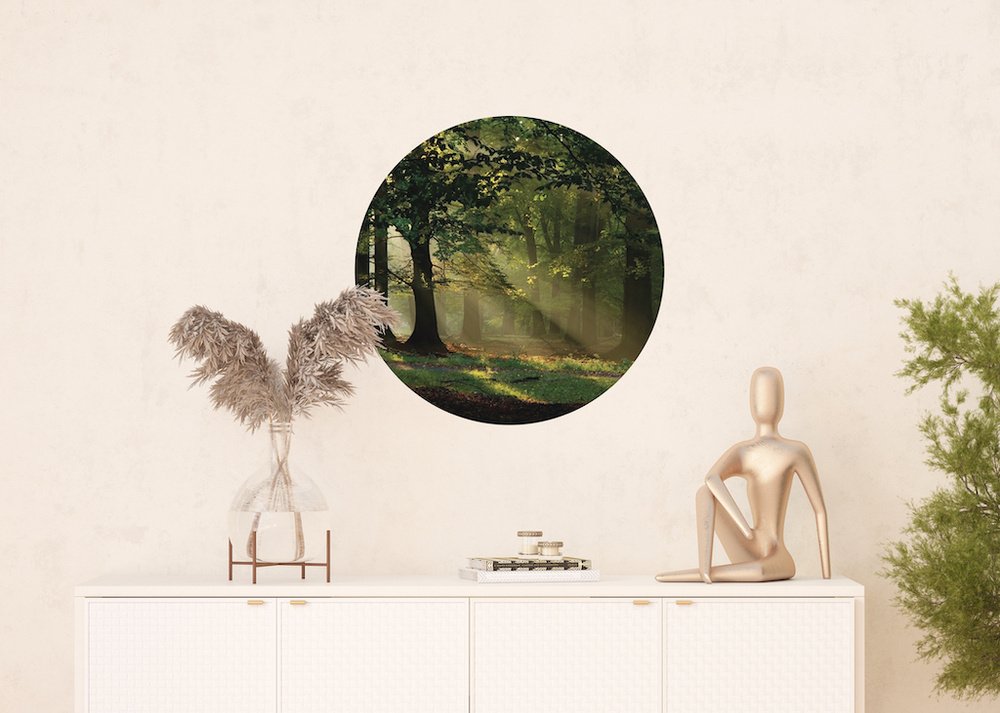 Samolepicí fototapeta CR3210 Magic Forest 70 x 70 cm