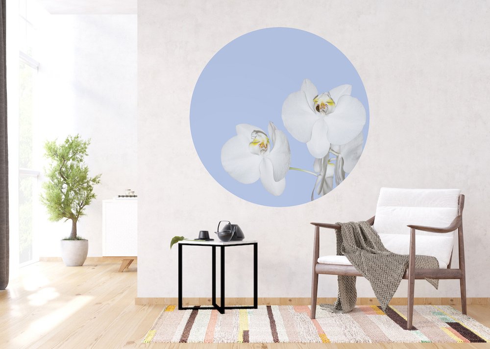 Samolepicí fototapeta CR3300 Orchid on Blue 140 x 140 cm