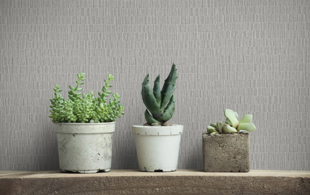 Marburg tapeta na zeď 35363 Timber 0,53 x 10,05 m