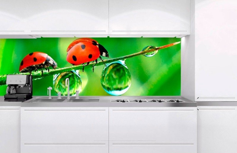 Fototapeta na linku Beruška 180 x 60 cm KI180-015
