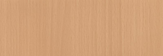Patifix samolepicí tapeta Buk nebarvený 92-3218 | šíře 90 cm