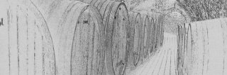 Vliesová fototapeta Dimex Barrels M-310 | 330x110cm