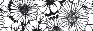 Vliesová fototapeta Dimex Black Flowers M-316 | 330x110cm