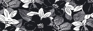 Vliesová fototapeta Dimex Black Flowers M-317 | 330x110cm