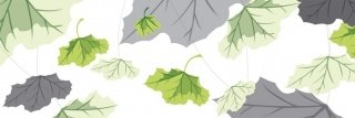 Vliesová fototapeta Dimex Leaf M-321 | 330x110cm