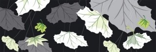 Vliesová fototapeta Dimex Leaf Black M-322 | 330x110cm