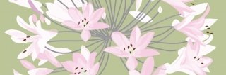 Vliesová fototapeta Dimex Violet Flowers M-330 | 330x110cm