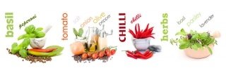 Fototapeta na linku Spice 180 x 60 cm KI180-003