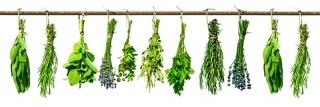 Fototapeta na linku Herbs 180 x 60 cm KI180-007