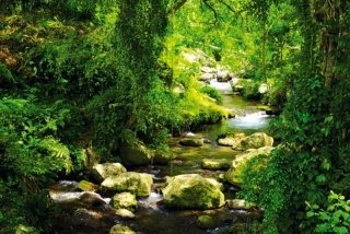 Vliesová fototapeta Dimex Stream XL-513 | 330x220 cm