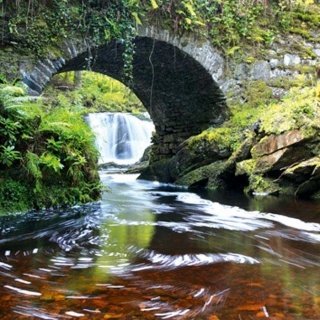 Fototapeta na zeď Dimex Ireland L-530 | 220x220 cm