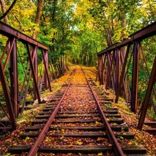 Fototapeta na zeď Dimex Railroad L-533 | 220x220 cm