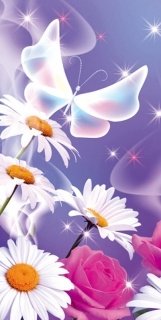 Vliesová fototapeta Butterfly S-547