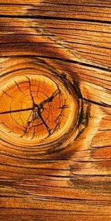 Vliesová fototapeta Wood Knot S-550