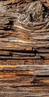 Vliesová fototapeta Tree Bark S-551