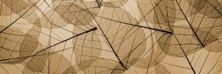 Fototapeta na zeď Dimex Brown Leaf M-484 | 330x110cm