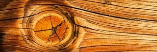 Fototapeta na zeď Dimex Wood M-500 | 330x110cm