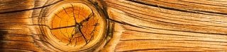 Fototapeta na linku Wood 260 x 60 cm | KI260-061