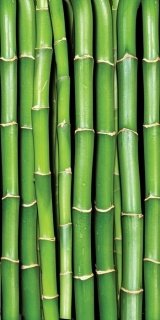 Dimex fototapeta Bamboo S-136 | 110x220 cm