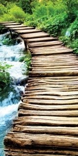 Dimex fototapeta Boardwalk S-116 | 110x220 cm