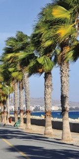 Fototapeta na zeď Limassol S-123 | 110 x 220 cm