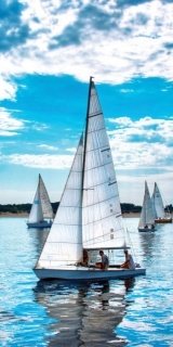 Fototapeta na zeď Sailing Regata S-156