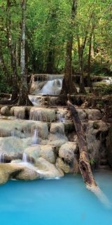 Fototapeta WaterFall in Forest S-128 | 110 x 220 cm